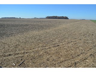 Tract 3 - FARMLAND AUCTION - 165.5+/- ACRES OFFERED IN 5 TRACTS OR COMBINATIONS IN EAST ALLEN COUNTY